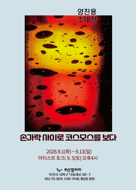 ⟪ 손가락 사이로 코스모스를 보다 ⟫