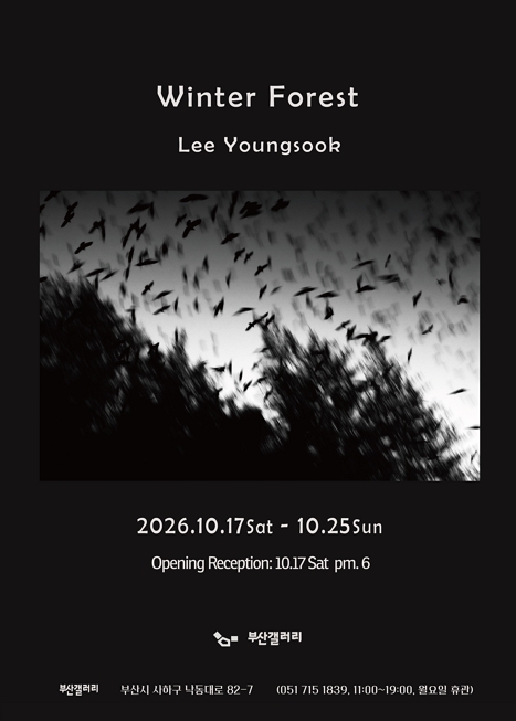 겨울 숲 Winter Forest