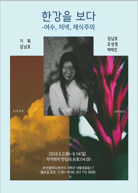 한강을 보다 -여수, 저녁, 채식주의 이미지