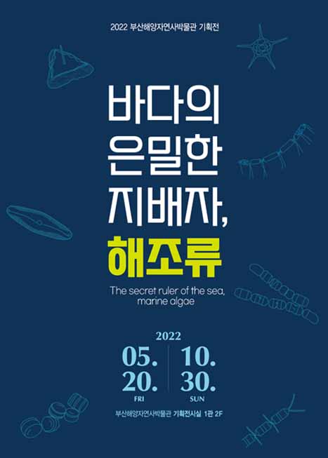 바다의 은밀한 지배자 해조류