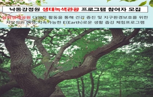 표준 양식