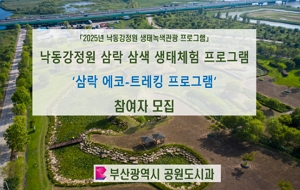 표준 양식