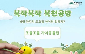 표준 양식