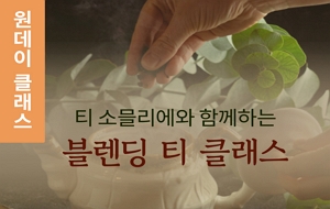 표준 양식